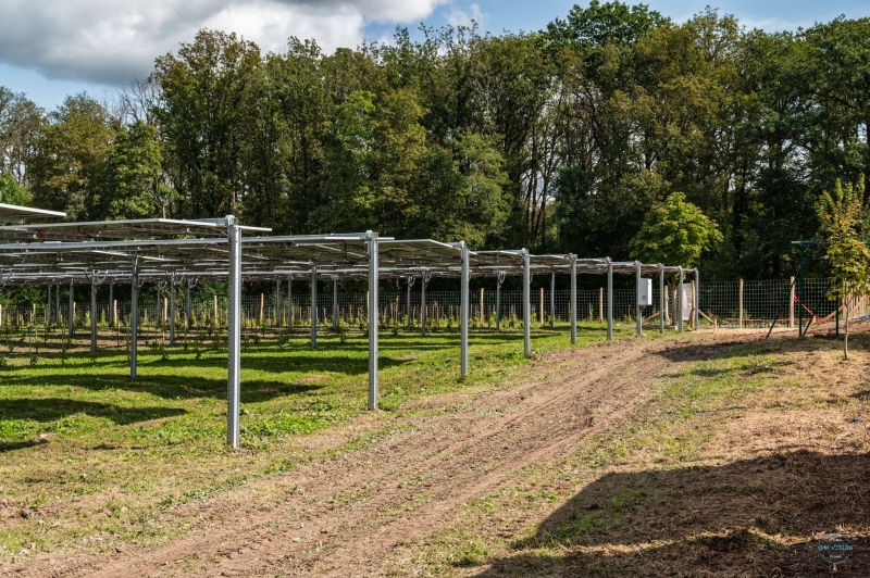 Helios Group