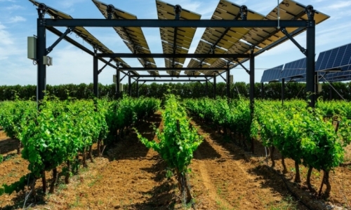 L' agrivoltaïsme en 2024
