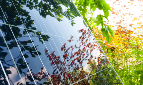 Lasne accélère sa transition énergétique grâce à une nouvelle dynamique citoyenne