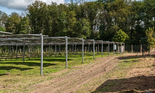 Réservez gratuitement votre potager partagé à Durbuy – Champ Agrivoltaïque sur le site de l'Hotel Restaurant Les Mignees